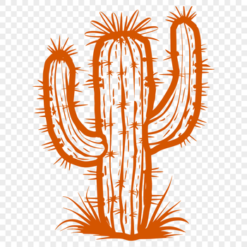 A detailed illustration of a prickly desert plant with a round body and sharp spines.
