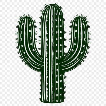 An editable vector graphic representation of a common succulent found in arid environments.