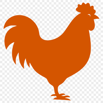 A detailed illustration of a full body farm animal, depicted as a domesticated bird.