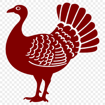 A detailed, full-body illustration of a domesticated turkey, suitable for various uses.