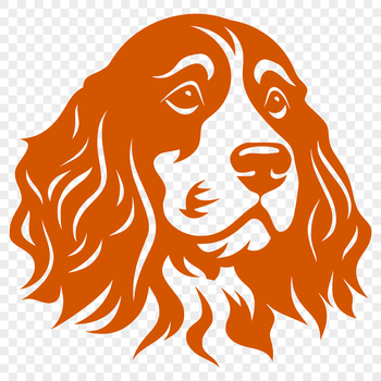 Close-up illustration of a friendly Cocker Spaniel dog breed with a distinctive head shape.