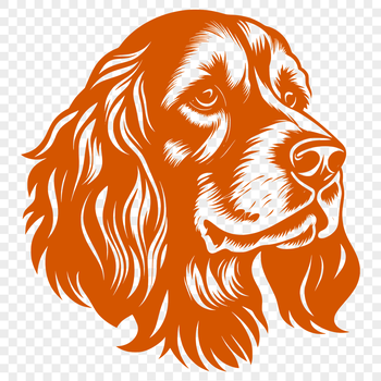 A detailed vector illustration of a Cocker Spaniel's head.