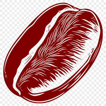 A single coffee bean illustrated in a simple, detailed design suitable for clip art and vector graphics.