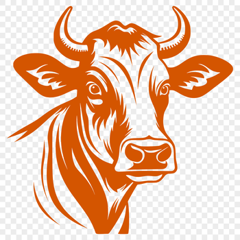A detailed illustration of a cow's head, suitable for vector art and design.