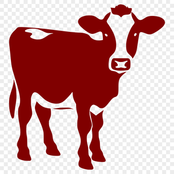 A full-body illustration of a cow in vector format.
