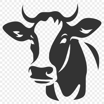 A close-up view of a cow's head with its distinctive features such as ears, nose, and eyes.