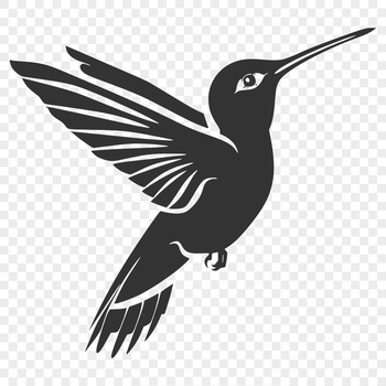 A detailed illustration of a hummingbird in mid-flight, depicted from full-body perspective.