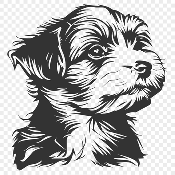 A vector illustration of a Havanese dog breed, suitable for various design projects.