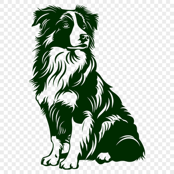 A vector graphic depicting a loyal Australian Shepherd animal from the front in a sitting pose.