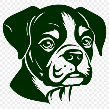 A detailed illustration of a Boxer's head, suitable for vector art design.
