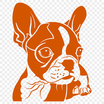 A vector illustration of a friendly-looking Boston Terrier dog with its head turned slightly to the side.