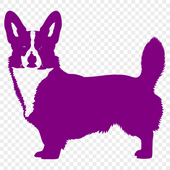 A detailed illustration of a Welsh Corgi in full body standing pose, suitable for vector design projects.