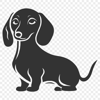 A full-body illustration of a Dachshund standing upright, suitable for various digital applications.