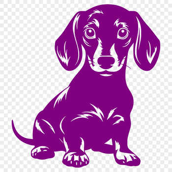 A full-body illustration of a sitting dachshund dog, suitable for vector art and clipart designs.