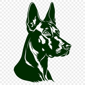 A digital illustration of a Doberman Pinscher's head, showcasing its distinctive features.