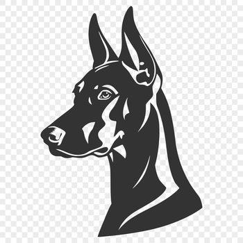 A realistic vector illustration of a Doberman Pinscher's head, suitable for various graphic design projects.