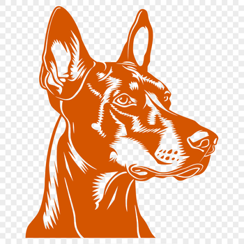 Vector illustration of a Doberman Pinscher's head with detailed features.