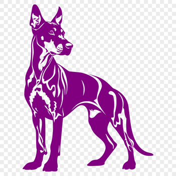 A close-up illustration of a standing Doberman Pinscher from head to paw.