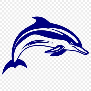 A detailed illustration of a dolphin's full body, depicted in vector format.