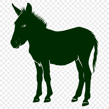 A standing donkey with full body details, suitable for vector art and design.