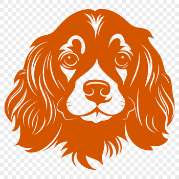A close-up vector illustration of a Cocker Spaniel's head, suitable for various design applications.
