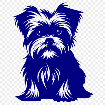 A small dog sitting on its haunches, representing a popular pet breed known as the Morkie.