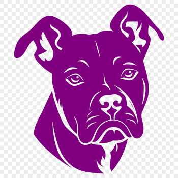 A detailed illustration of a Pitbull's head, suitable for vector art projects.