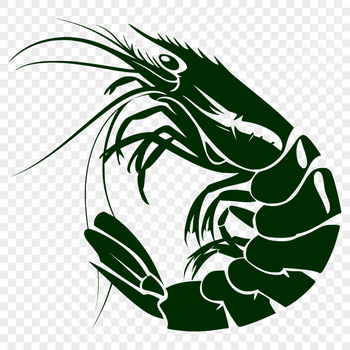 Unique Prawn Digital Drawing