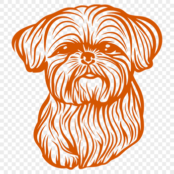 Small dog breed with long fur and flat face.