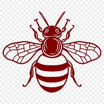 A detailed illustration of a bee's full body, suitable for gardening and DIY projects.