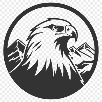 A detailed illustration of an eagle's head from various angles, showcasing its distinctive features.