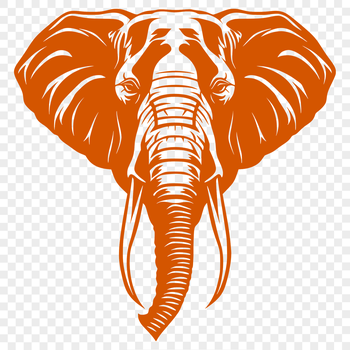A detailed illustration of a large African elephant's head with wrinkled skin and prominent ears.