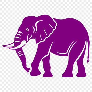 A full-body illustration of a standing elephant, suitable for vector design and commercial use.