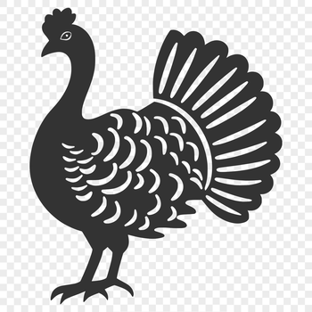 A full-body illustration of a turkey, suitable for various design purposes.