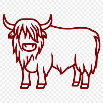 A standing Highland cow with distinctive long hair and horns, a typical farm animal breed.