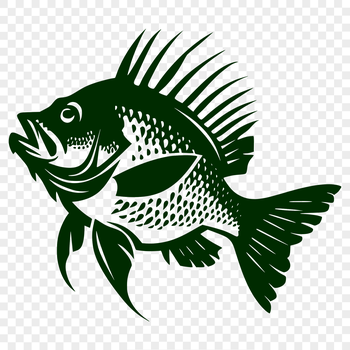 A detailed illustration of a Crappie fish from head to tail in its natural habitat.