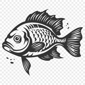 Free Beautiful Fish Drawing