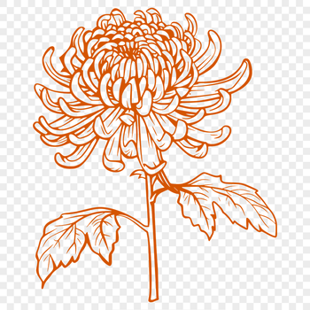 Unique Flower Vector Art