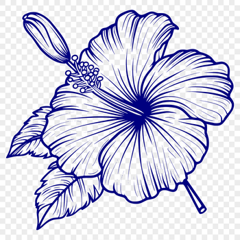 A stylized illustration of a hibiscus flower, suitable for digital design and printing applications.