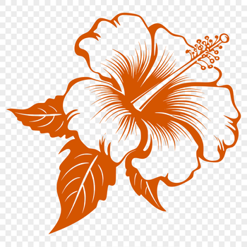 A single hibiscus flower with detailed petals and center details, suitable for vector art and design projects.