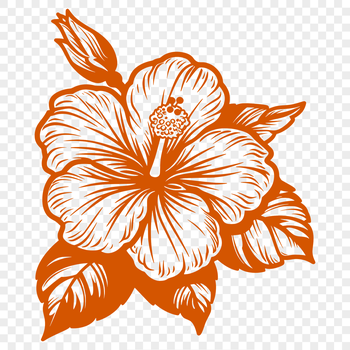 A detailed illustration of a large hibiscus flower with prominent petals and center.