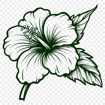 A colorful hibiscus flower with large, showy blooms.
