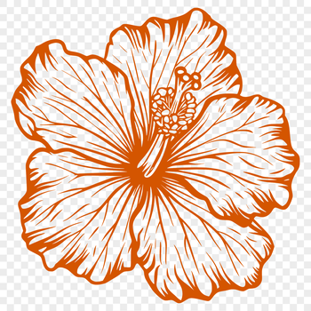 A colorful illustration of a single hibiscus flower with large, showy petals.
