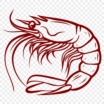 Free Unique Prawn Vector Drawing