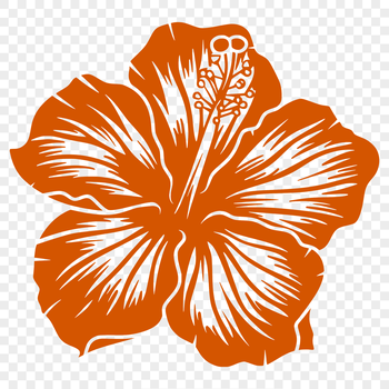 A colorful hibiscus flower with large, showy blooms, suitable for gardening and floral design projects.