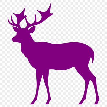 A stylized outline illustration of a deer's full body in a single color.