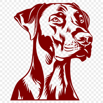 Illustrated vector art of a Doberman Pinscher's head, suitable for digital designs.
