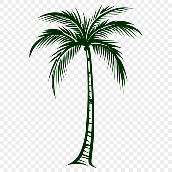 A single palm tree standing in front of a blue sky with white clouds, ideal for use as clip art in graphic design projects.