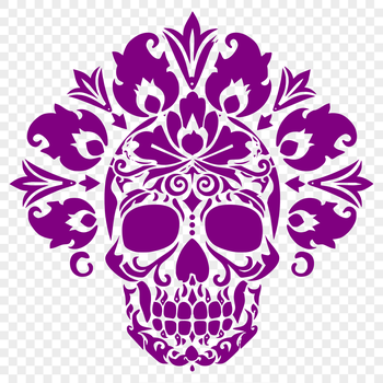 A detailed illustration of a human skull in vector format.