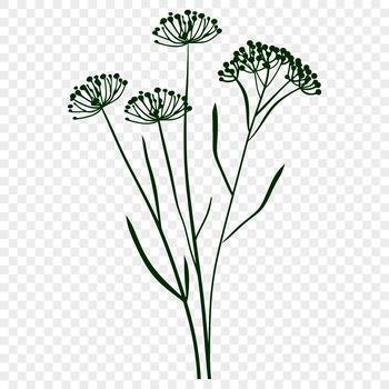A colorful illustration of a single wild flower in bloom, suitable for vector art projects.